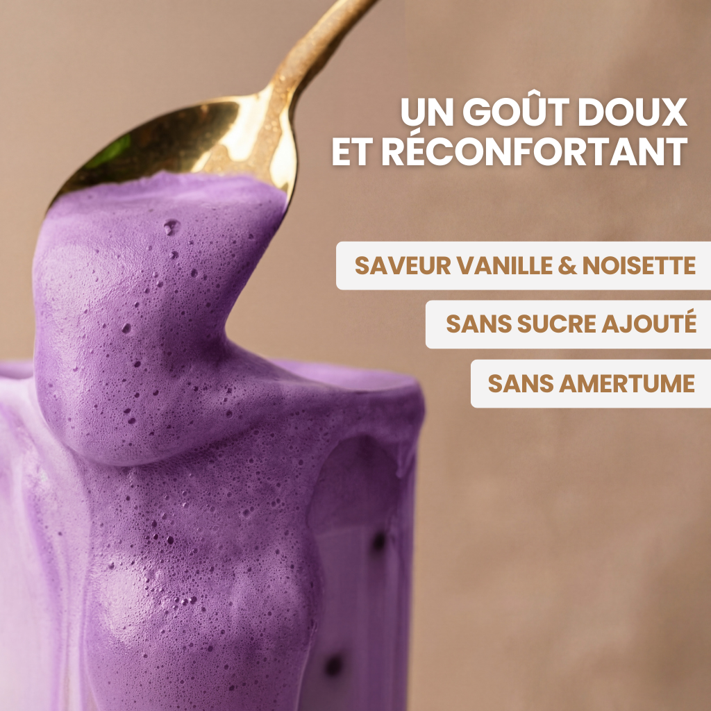 Poudre Ube Premium 100% Naturelle